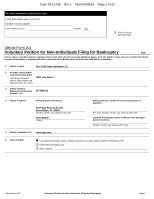 PDF) Official Form 201 Voluntary Petition for Non  …upshotservices.s3.aws.com/files/ad726b41-9d40-433bFill in this  information to identify your case: United States Bankruptcy 