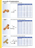 Rallonge De Tuyau Filetage Bsp 3/8 (dn10mm) Femelle X Mâle Laiton Chromé -  15mm